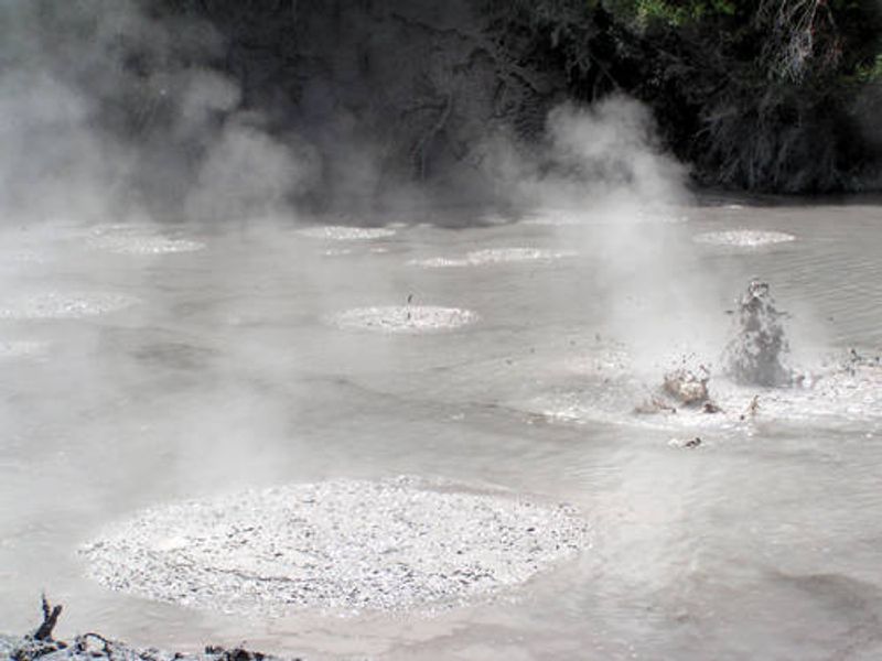 Bay of Plenty Private Tour - Te Puia: Boiling Mud Pool