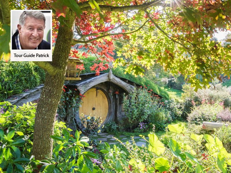 Bay of Plenty Private Tour - Middle Earth-Hobbit Hole nestled in the Hobbiton village