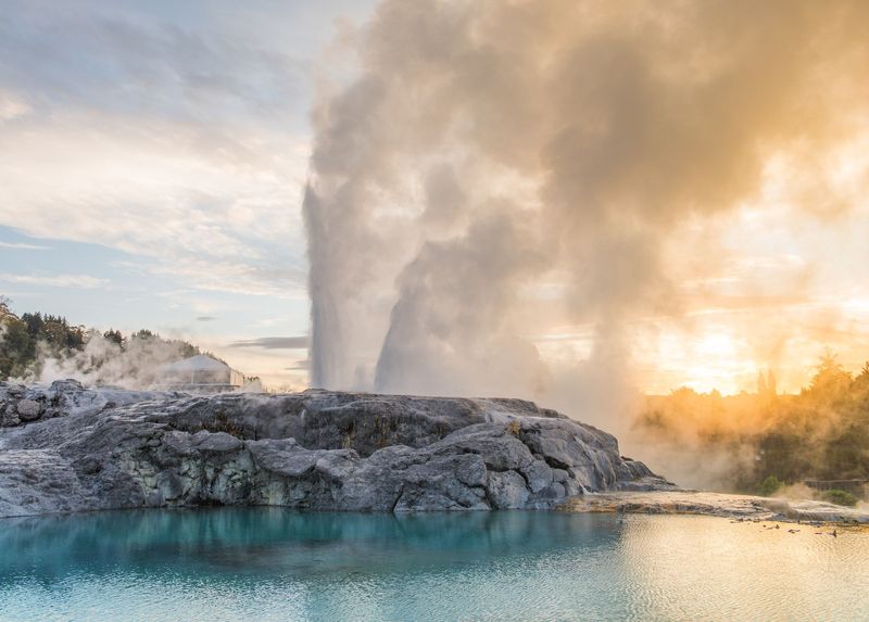 Bay of Plenty Private Tour - Te Puia: "Pohutu" geyser erupting boiling water & steam up to 100ft. 