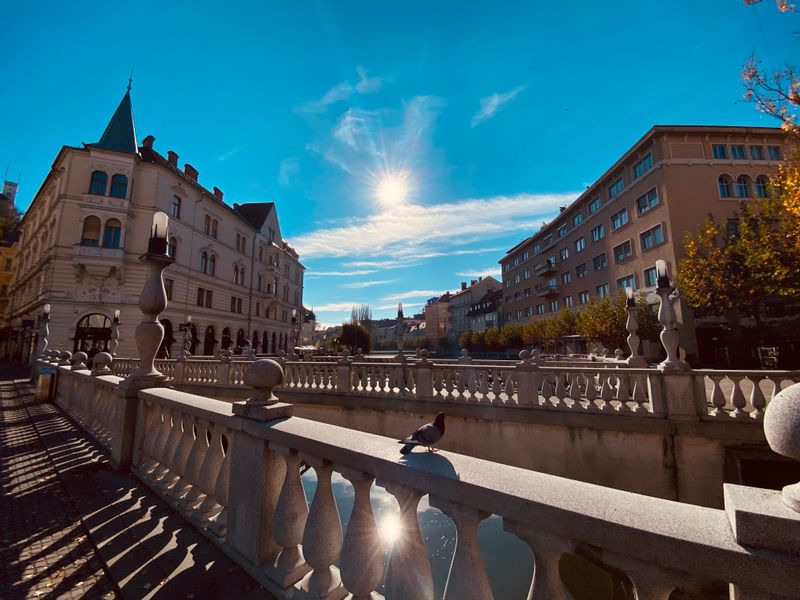 Ljubljana Private Tour - Triple bridge