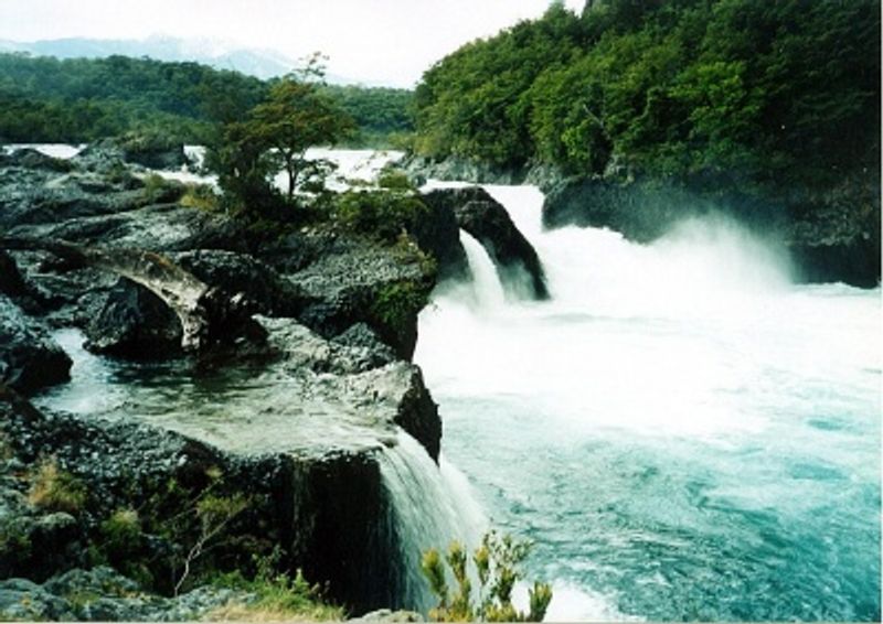 Puerto Varas Private Tour - The Petrohué River starts at lake Todos Los Santos, and is undoubtedly one of the most picturesque rivers of Chile, because its stream goes on a bed of stones producing rapids and falls of great beauty, the sound is Awesome