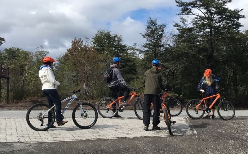 Puerto Varas Private Tour - Luego nos dirigiremos a nuestras bicicletas a los Saltos del Río Petrohué, una atracción turística mundial, aguas espumosas que caen entre las rocas, grandes masas de lava dura, una experiencia maravillosa!!