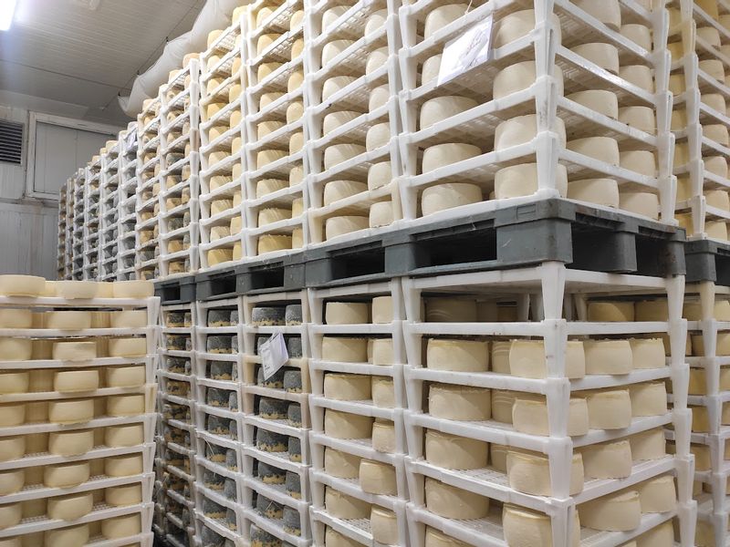 Zadar Private Tour - Cheese factory Gligora