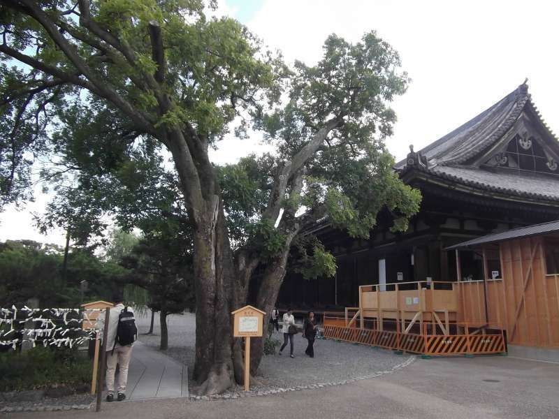 Kyoto Private Tour - Front view of Sanjusangen-do temple.