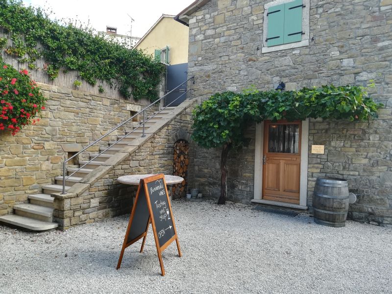 Istria Private Tour - Visit to one of the local wineries