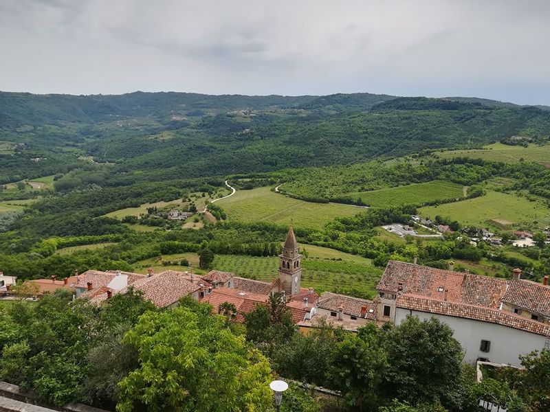 Istria Private Tour - View from Motovun hilltop town