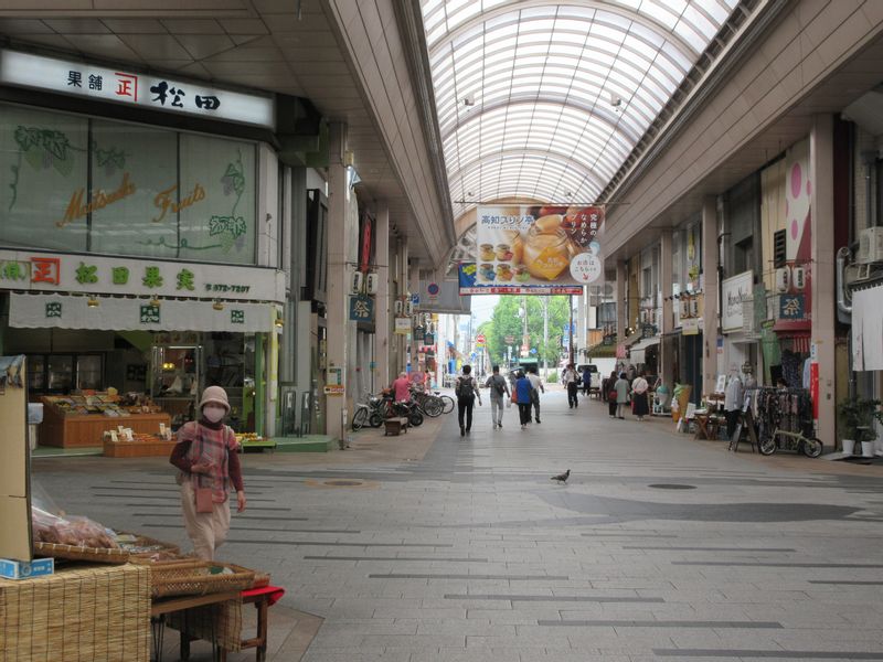 Kochi Private Tour - Obiyamachi Arcade