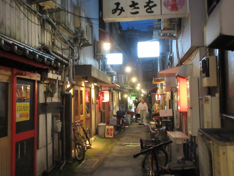 Kochi Private Tour - bars in a alley 