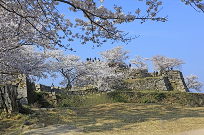 Himeji Private Tour - Takeda Castle Ruins in spring,  Photo: Courtesy of Asago City