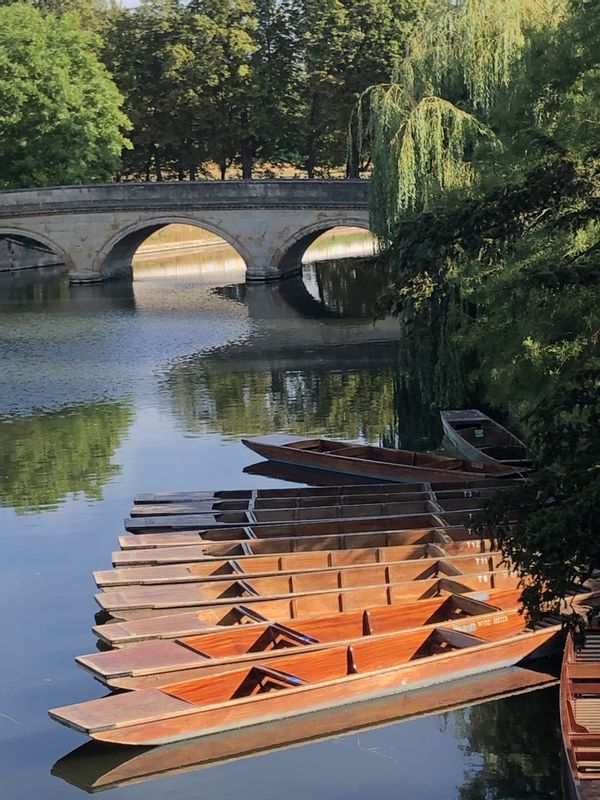 Cambridge Private Tour - Early morning on the River Cam before the punts go out