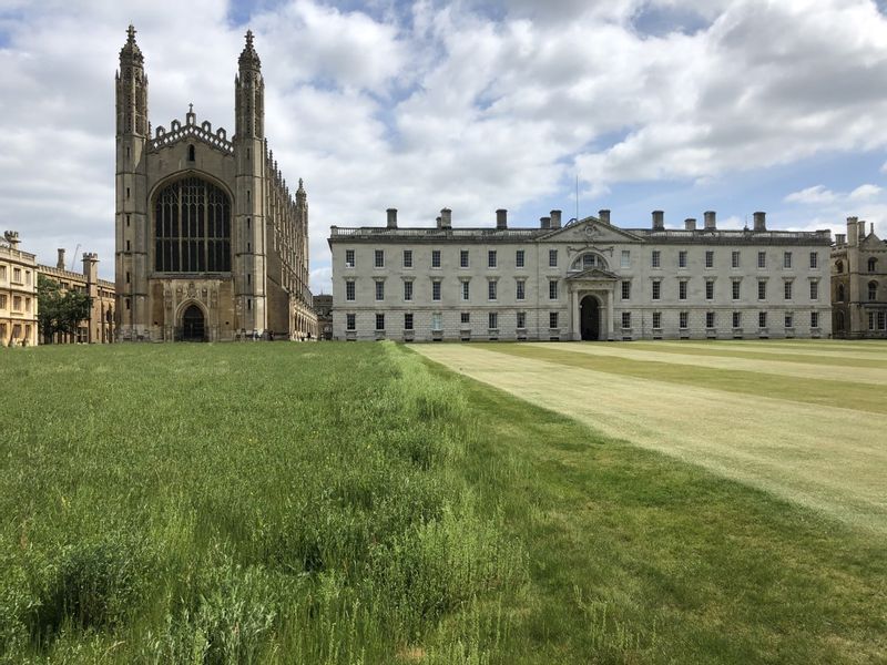 Cambridge Private Tour - The chapel at King's in the background and in the foreground the recent wildflower meadow can be seen