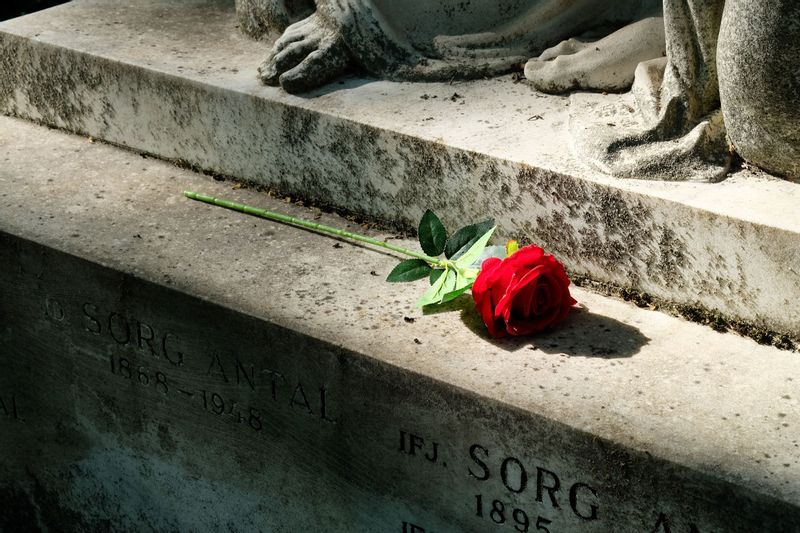 Budapest Private Tour - Grave, National Cemetery of Hungary