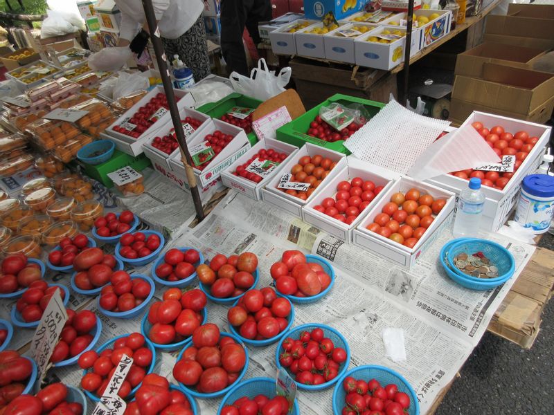 Kochi Private Tour - Nichiyouichi which is the famous Sunday market