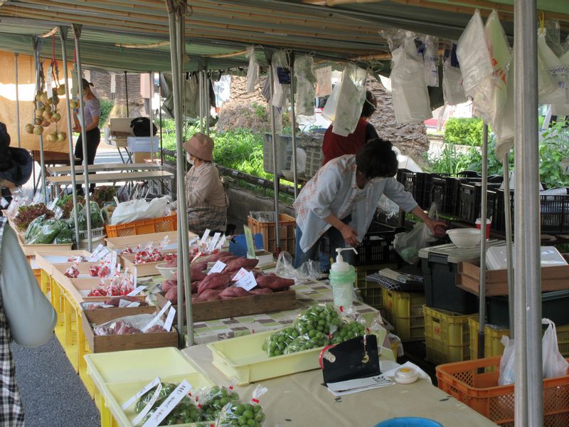 Kochi Private Tour - Nichiyouichi which is the famous Sunday market