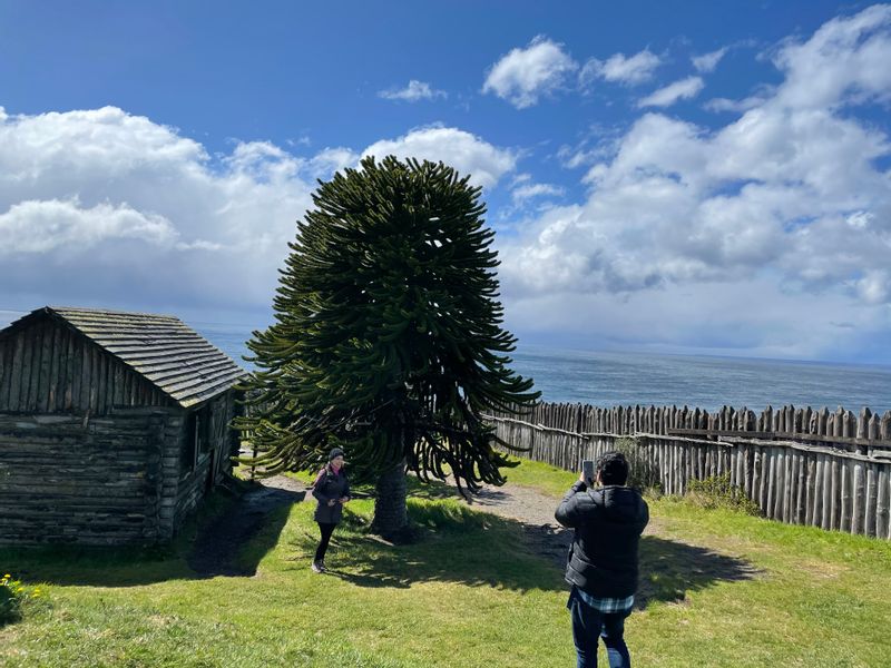 Punta Arenas Private Tour - Fuerte Bulnes 