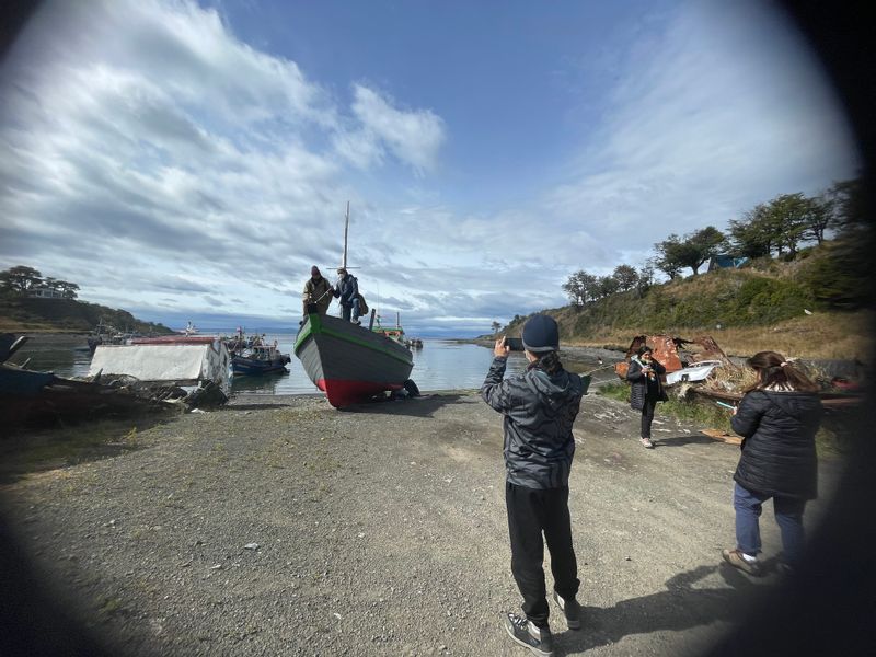 Punta Arenas Private Tour - Bahía Mansa 