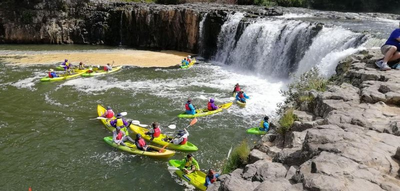 Bay of Islands Private Tour - Haruru Falls 