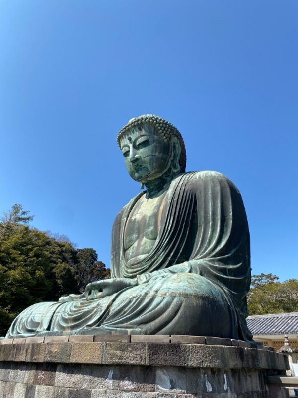 Tokyo Private Tour - Kamakura Great Buddha