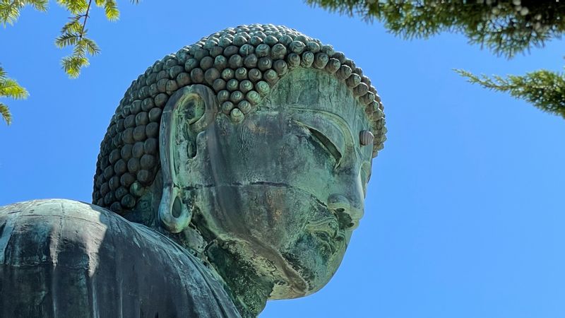 Tokyo Private Tour - Kamakura, my hometown