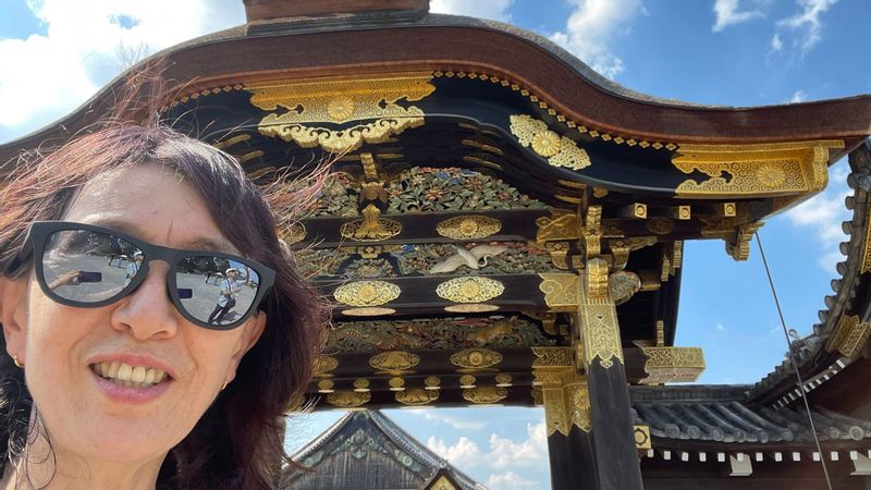 Tokyo Private Tour - Hi from Nijojo castle, Kyoto