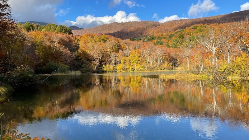 Tokyo Private Tour - Autumn in Tohoku