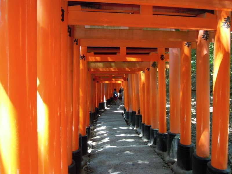 Kyoto Private Tour - A Thousand Torii Gates of Fushimi Inari Grand Shrine