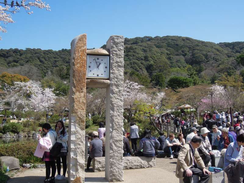 Kyoto Private Tour - Maruyama Park