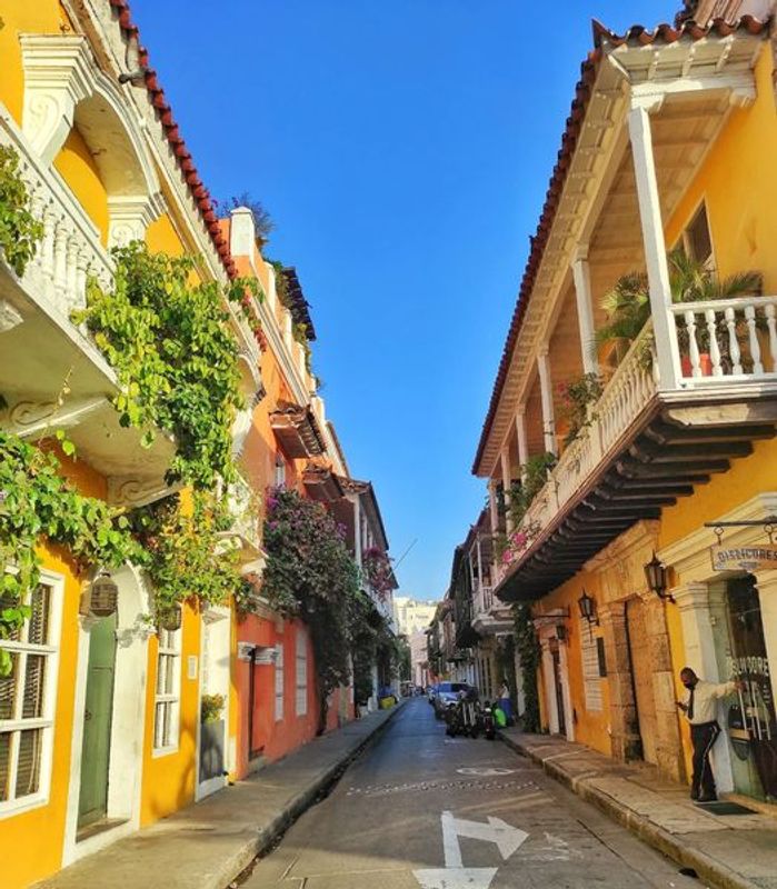 Cartagena Private Tour - Colonial Streets