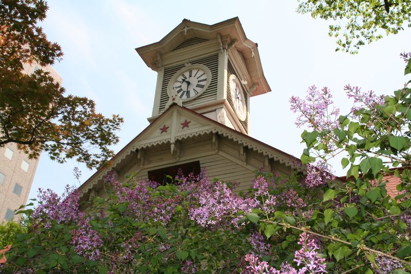 Sapporo Private Tour - Clock Tower