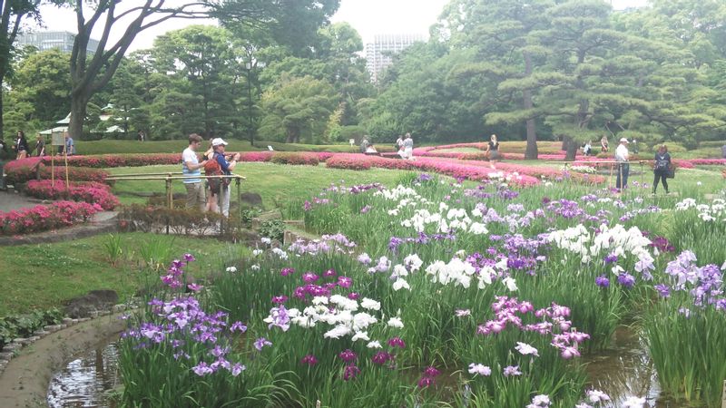 Tokyo Private Tour - Imperial Palace East Garden in May