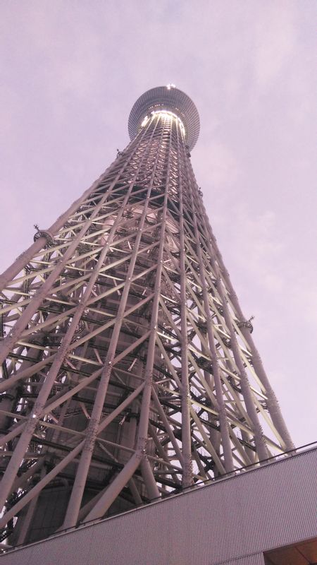 Tokyo Private Tour - Skytree Tower