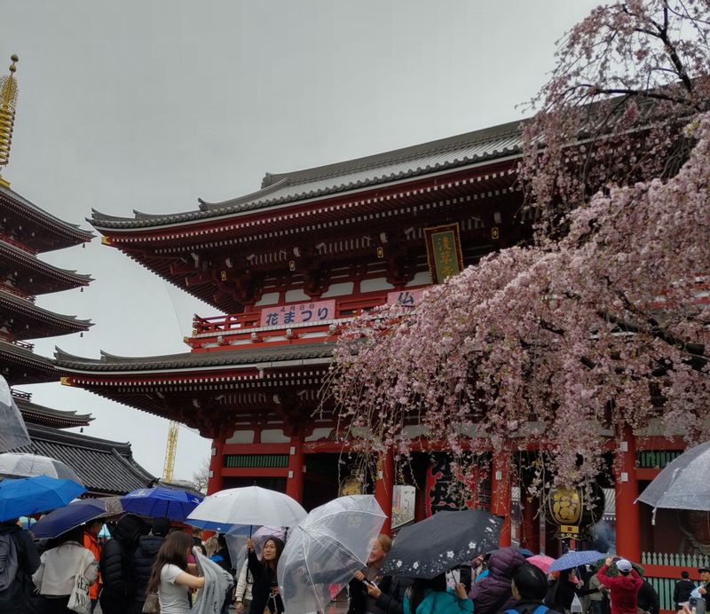 Tokyo Private Tour - Sensoji second gate