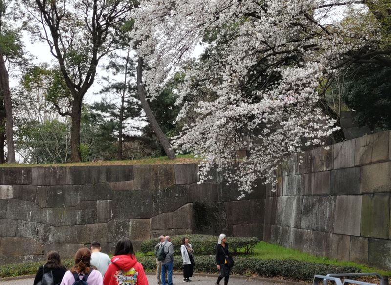 Tokyo Private Tour - former Edo Castle