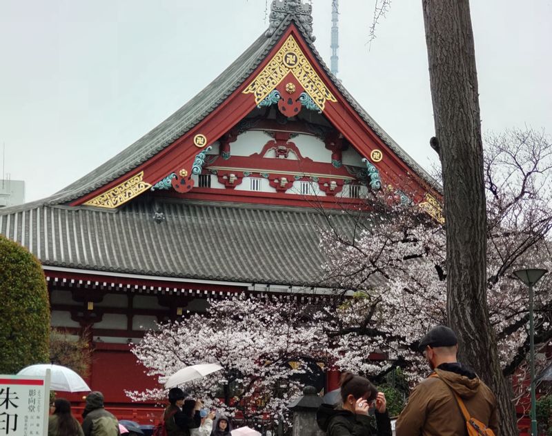 Tokyo Private Tour - Sensoji Main Hall