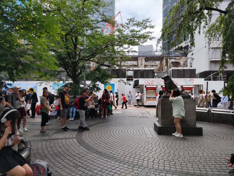 Tokyo Private Tour - Statue Hachi in Shibuya