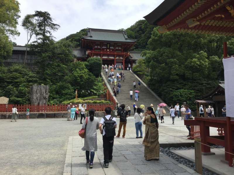 Kamakura Private Tour - Option A: Hachiman-Gu Shrine: Main worship hall