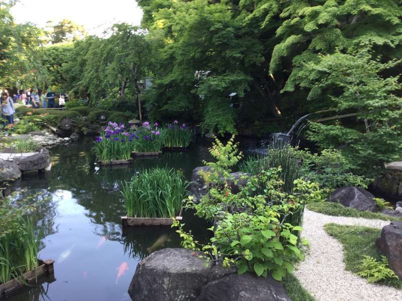 Kamakura Private Tour - Hase-Dera Temple: Japanese Garden 