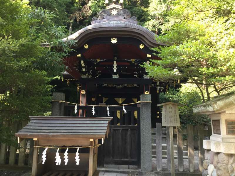 Kamakura Private Tour - Option A: Hachiman-Gu Shrine: Shirahata shrine where the 1st and 3rd Shoguns are worshipped
