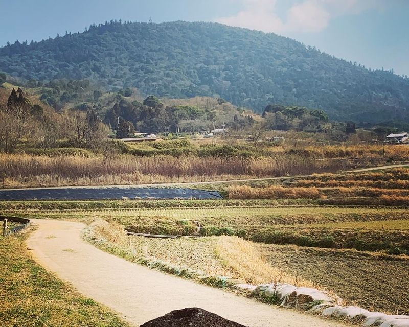 Nara Private Tour - Yamanobe-no-michi Road with Mt.Miwa at the back