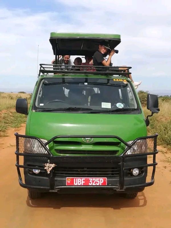 Kampala Private Tour - During the game driver in savanna national parks