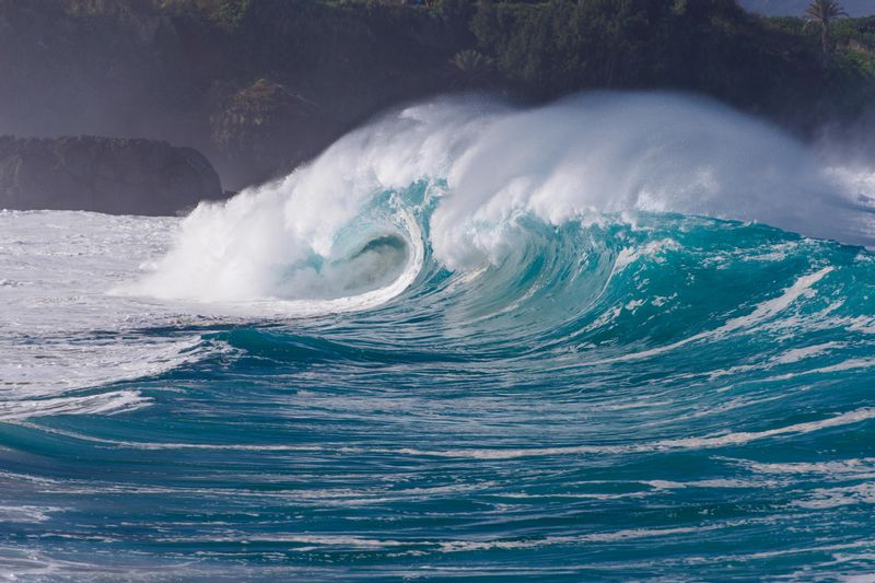 Hawaii (Oahu) Private Tour - Big surf