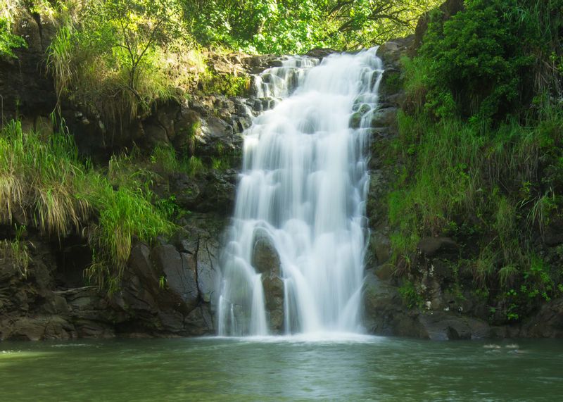 Hawaii (Oahu) Private Tour - Waimea Falls