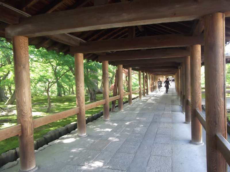 Kyoto Private Tour - "Tsutenkyo" Corridor of Tofukuji temple.