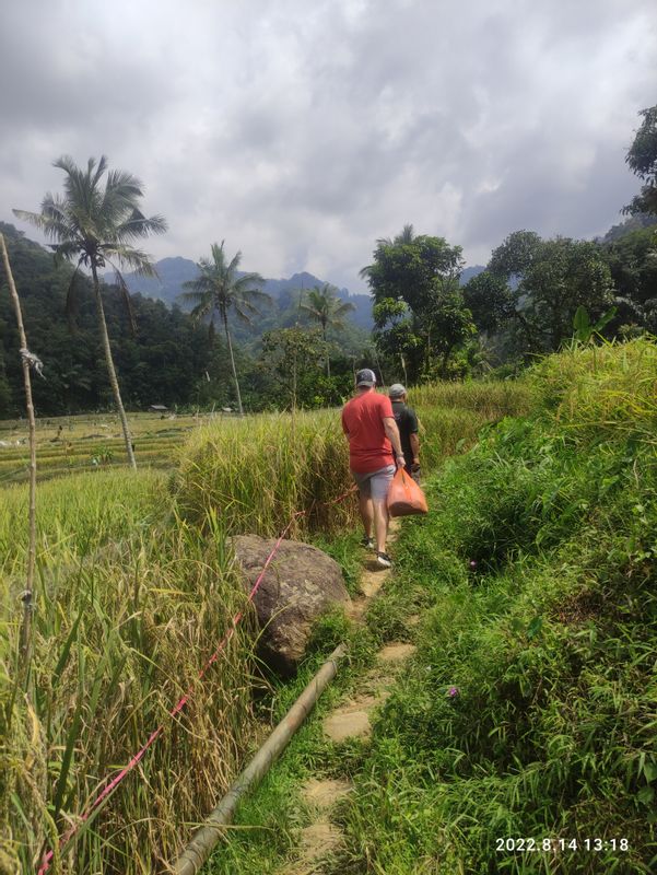Jakarta Private Tour - Trekking to waterfall with beautiful view of rice field