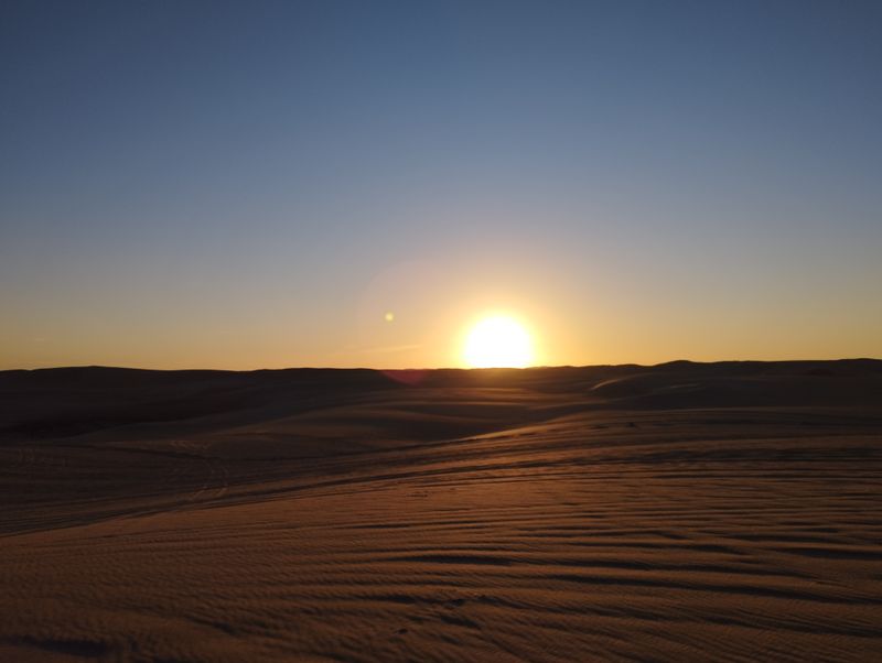 Cairo Private Tour - Sunset at the oasis