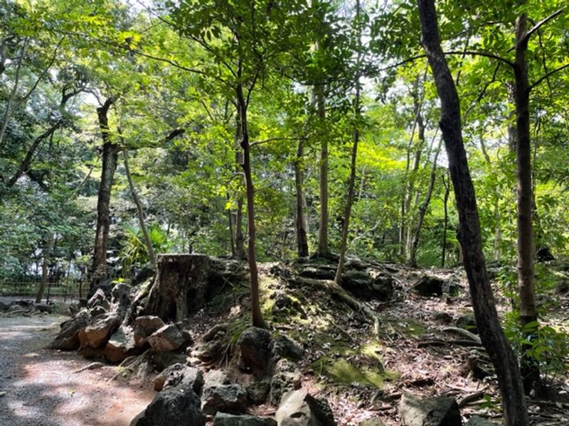 Other Shizuoka Locations Private Tour - Rakujyuen( nature walk)