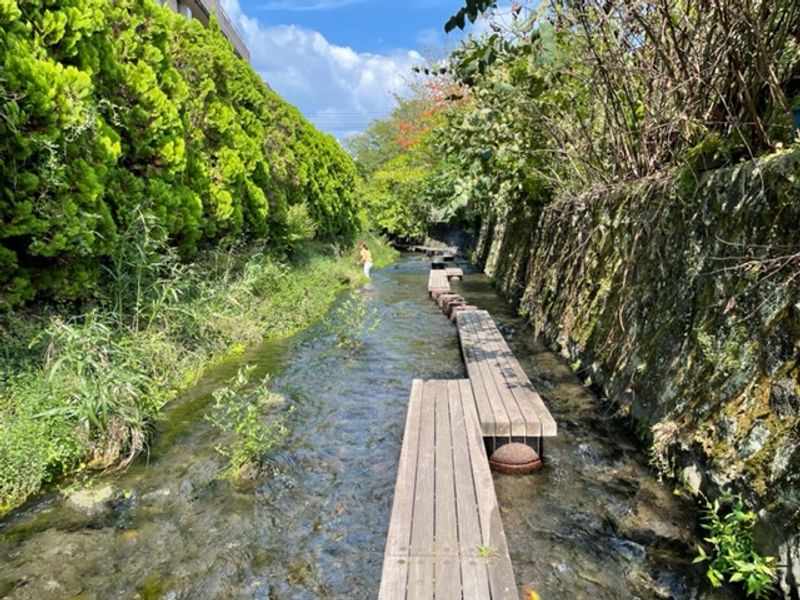 Other Shizuoka Locations Private Tour - peace at Genbei River