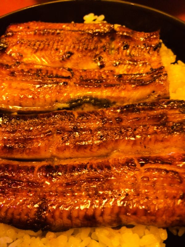 Other Shizuoka Locations Private Tour - Unagi(ell, Mishima's speciality)