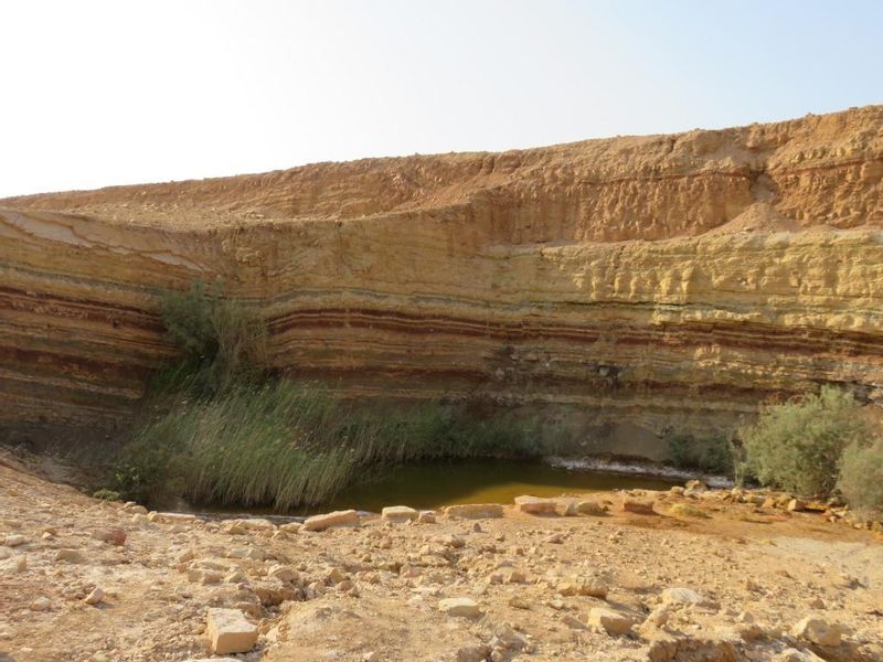 Tel Aviv Private Tour - Ramon Crater- beautifully colored layers