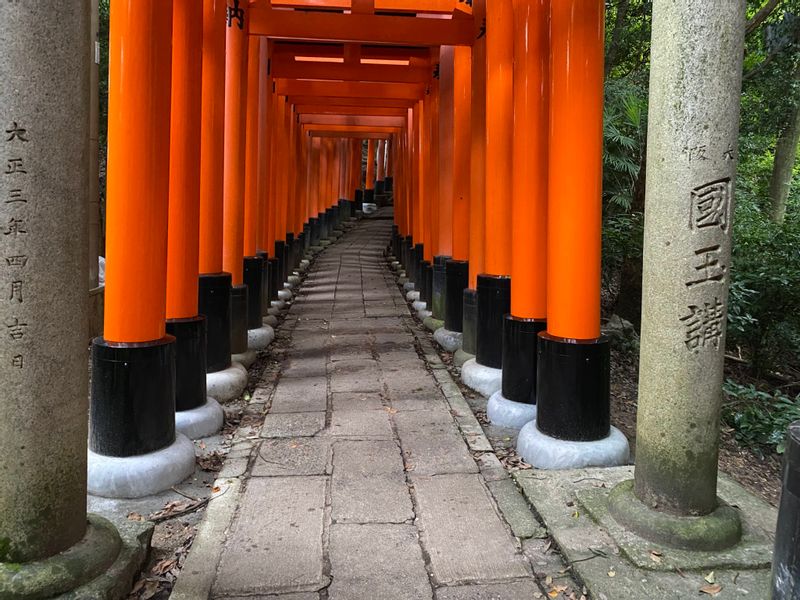 Kyoto Private Tour - Fushimi Inari Shrine